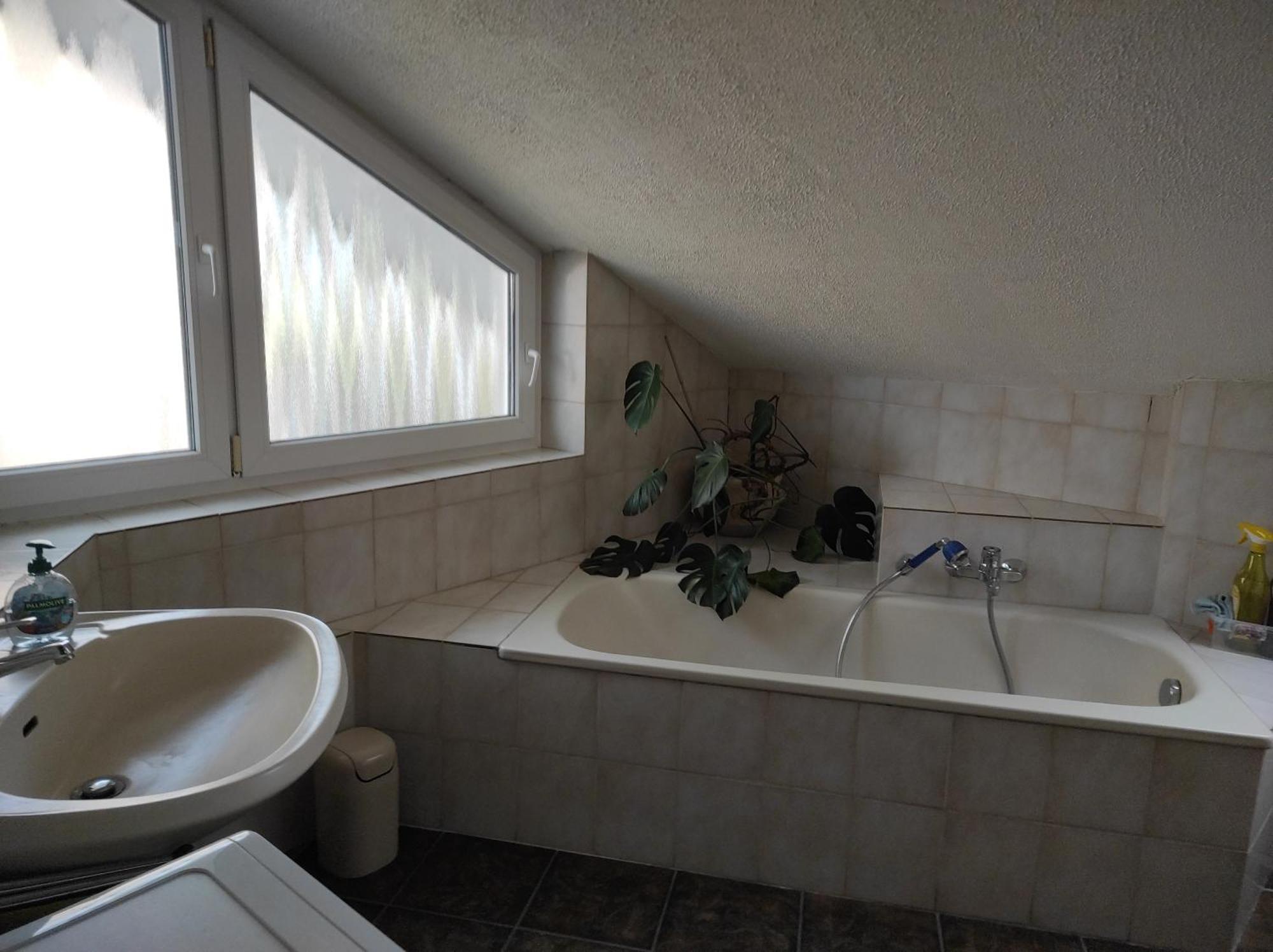 Ensingen Ferienwohnung Gartenblick מראה חיצוני תמונה